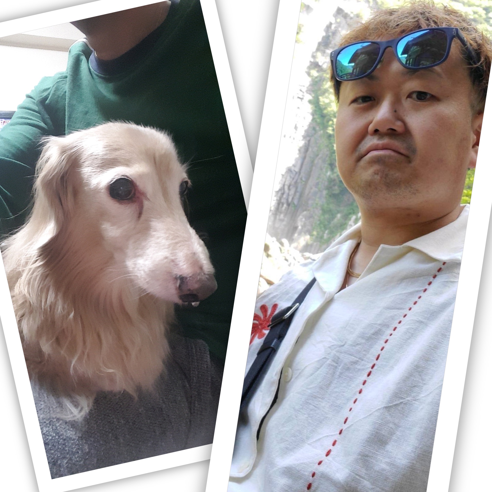 舩戸　哲