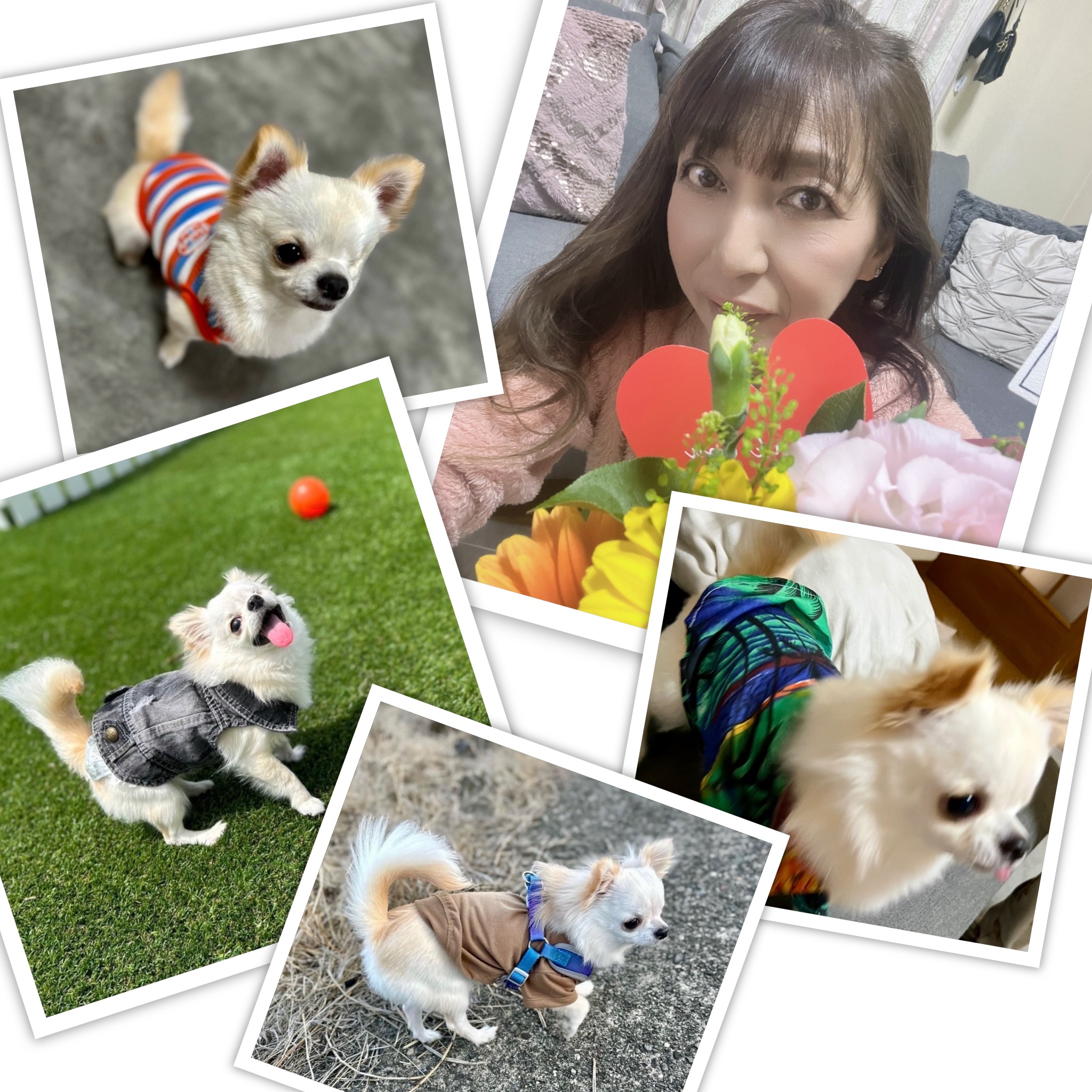竹安　美樹
